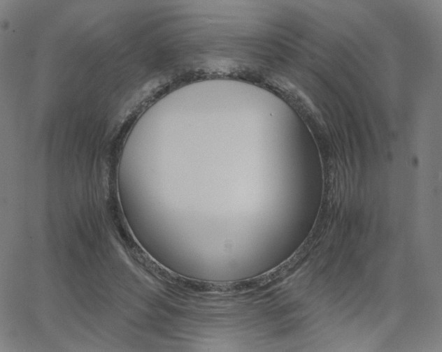 X0000062800496200512221110