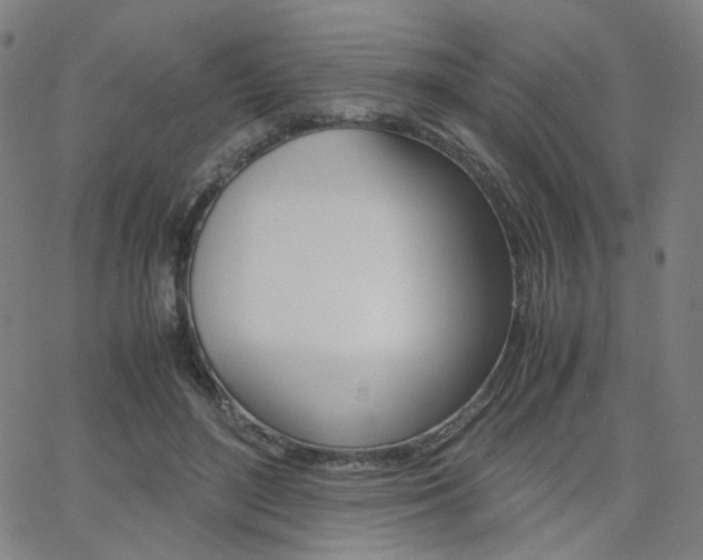 X0000062800500200512221110