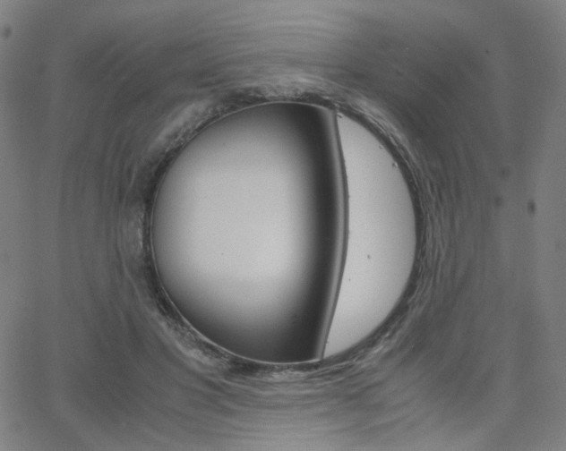 X0000062800501200512221110