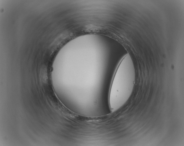 X0000062800508200512221110
