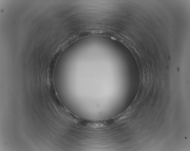 X0000062800512200512221110