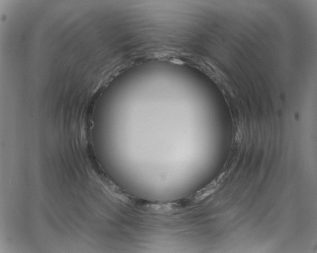 X0000062800524200512221109
