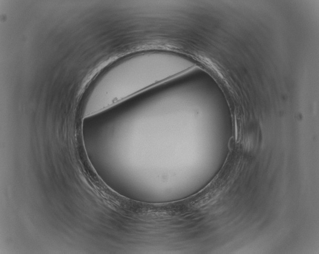 X0000062800531200512221108