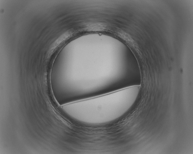 X0000062800535200512221109