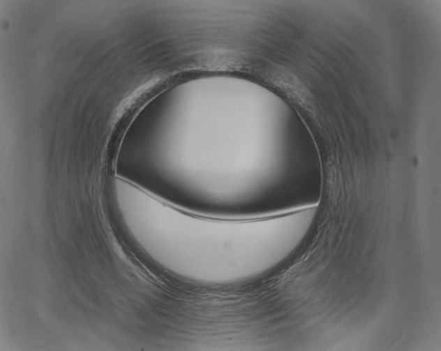 X0000062800536200512221109