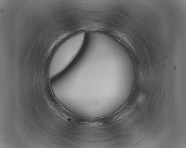 X0000062800539200512221109