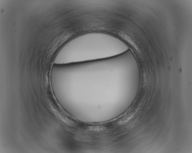 X0000062800541200512221109