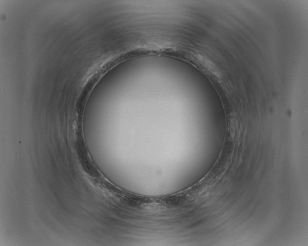 X0000062800544200512221109