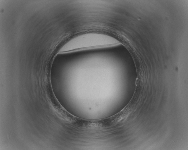 X0000062800546200512221109