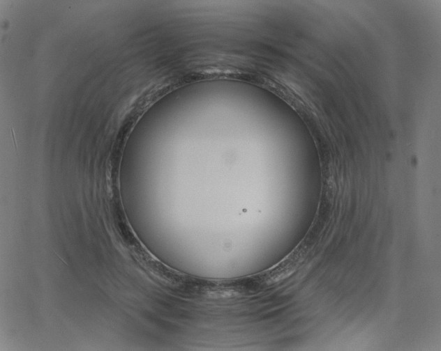 X0000062800547200512221109