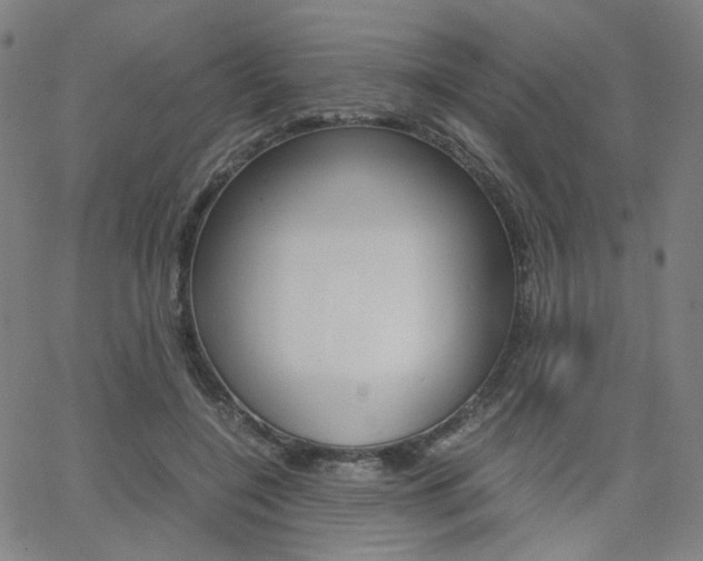 X0000062800548200512221109