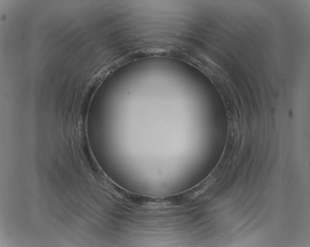 X0000062800556200512221109
