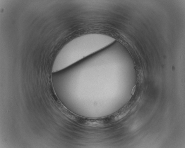 X0000062800557200512221109