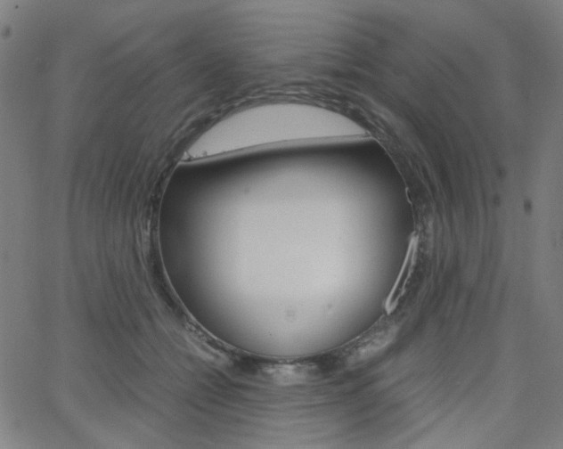 X0000062800558200512221109