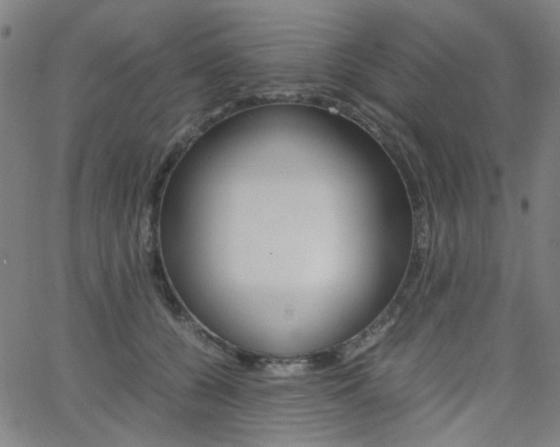 X0000062800560200512221109