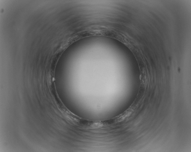 X0000062800562200512221109
