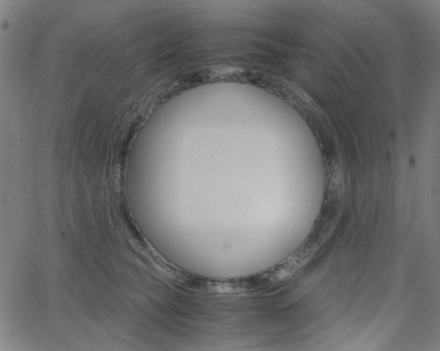 X0000062800565200512221109