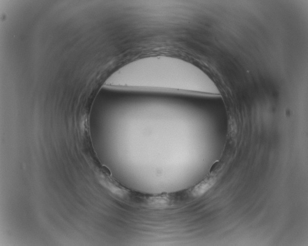 X0000062800574200512221109