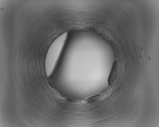 X0000062800576200512221109