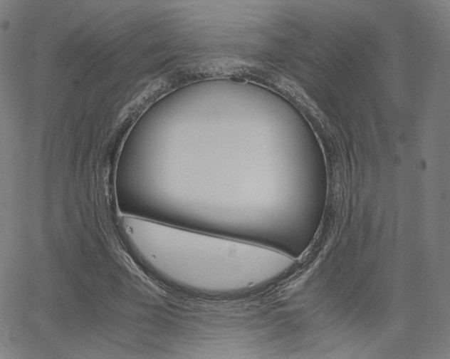 X0000062800585200512221108