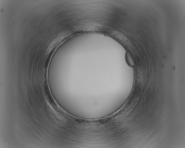 X0000062800586200512221108