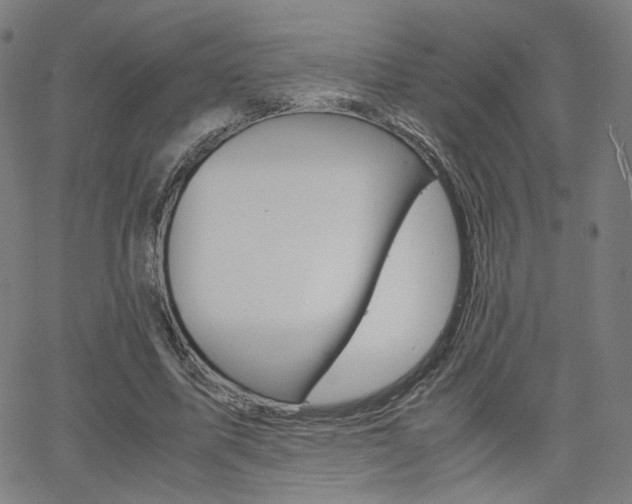 X0000062800587200512221108