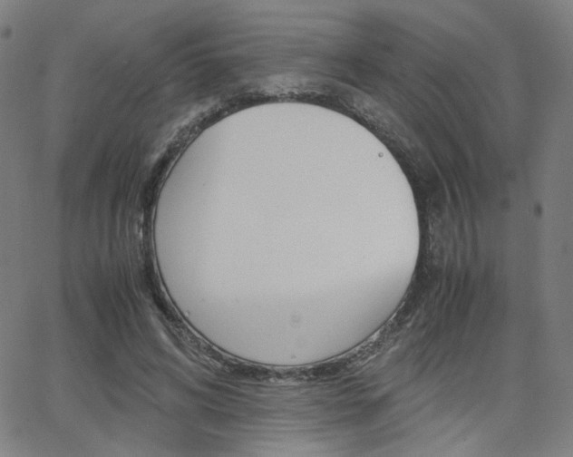 X0000062800592200512221108