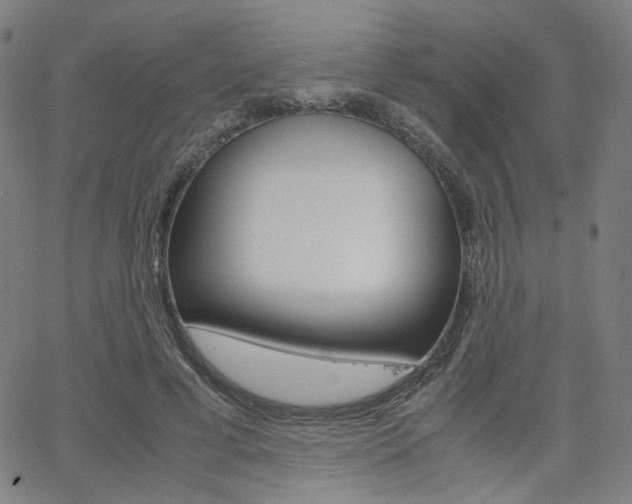 X0000062800593200512221108