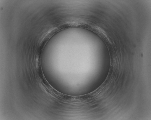 X0000062800596200512221108