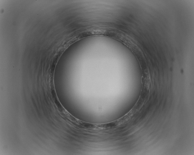 X0000062800604200512221108