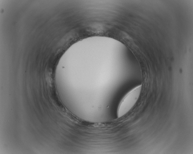 X0000062800612200512221108