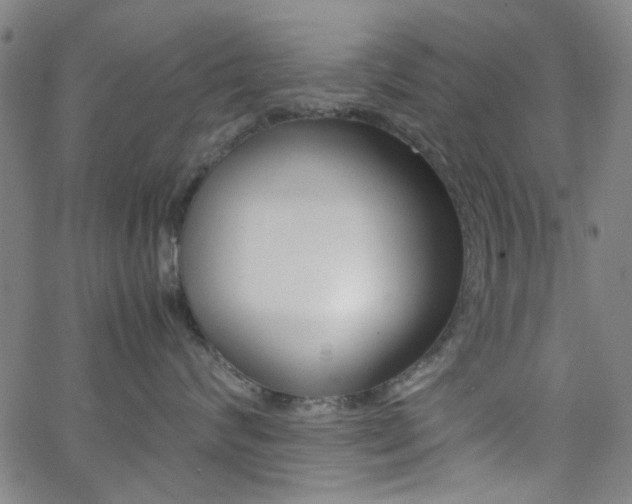 X0000062800624200512221108