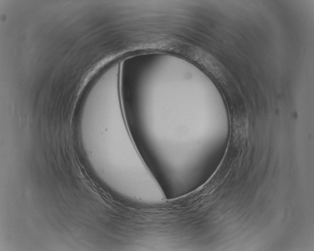 X0000062800628200512221107