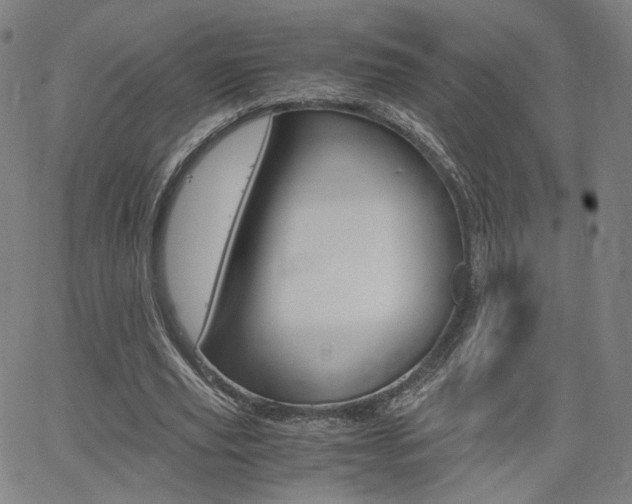X0000062800629200512221107