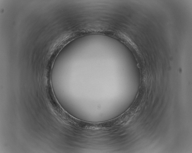 X0000062800635200512221107