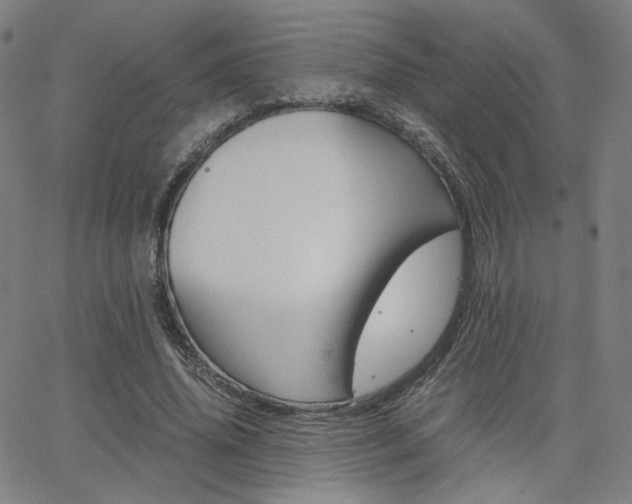 X0000062800636200512221107