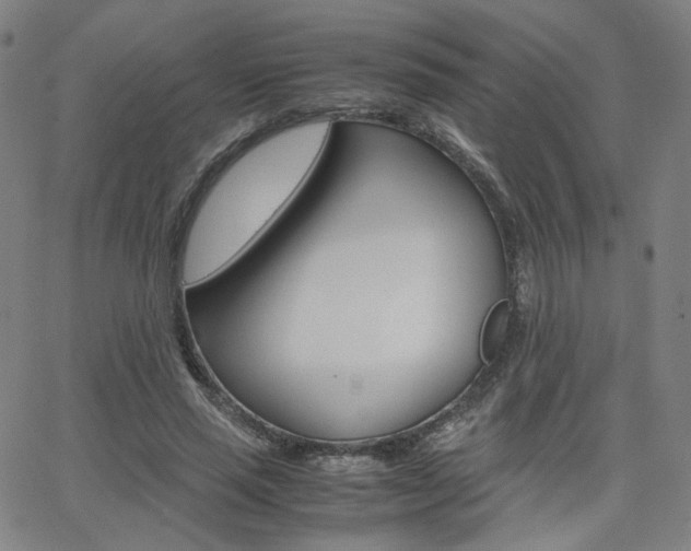 X0000062800637200512221107
