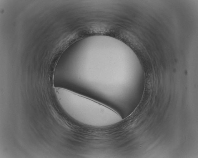 X0000062800639200512221107