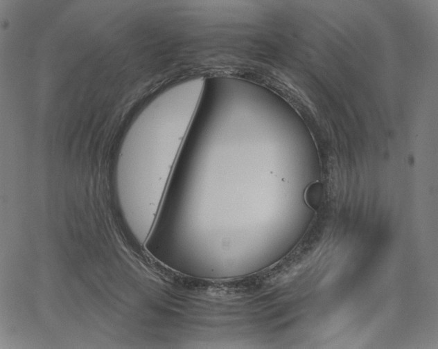 X0000062800641200512221107