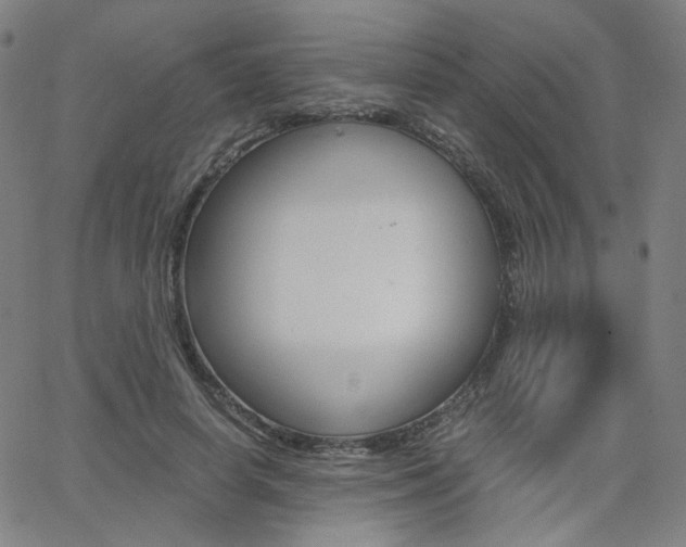 X0000062800642200512221107