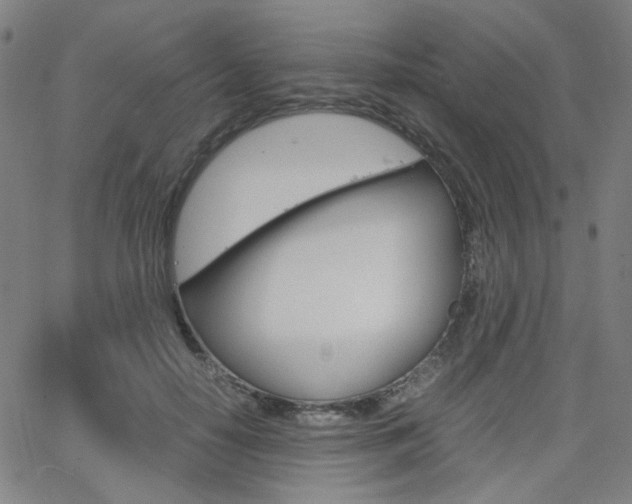X0000062800650200512221107