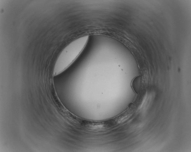 X0000062800651200512221107