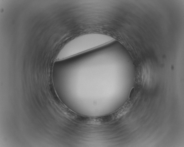 X0000062800656200512221107