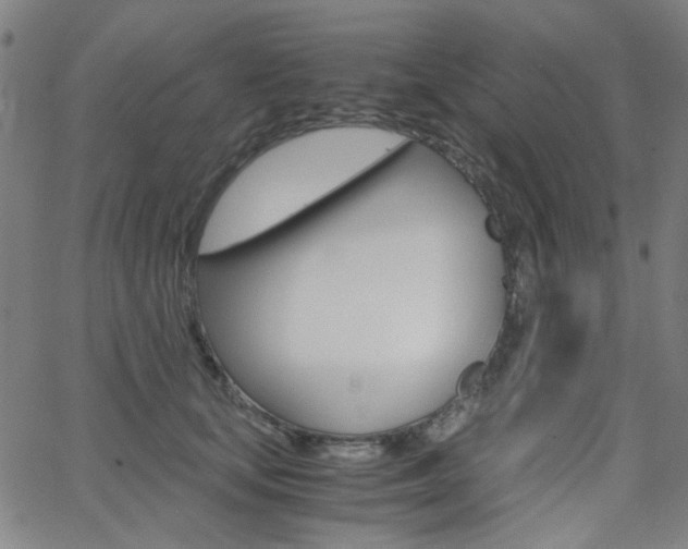 X0000062800659200512221107