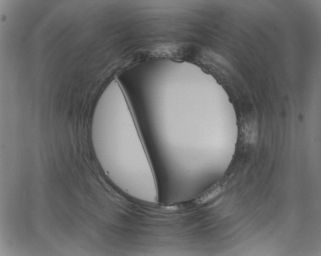 X0000062800665200512221108