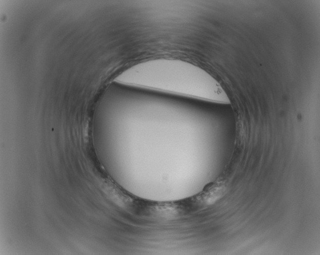 X0000062800668200512221108