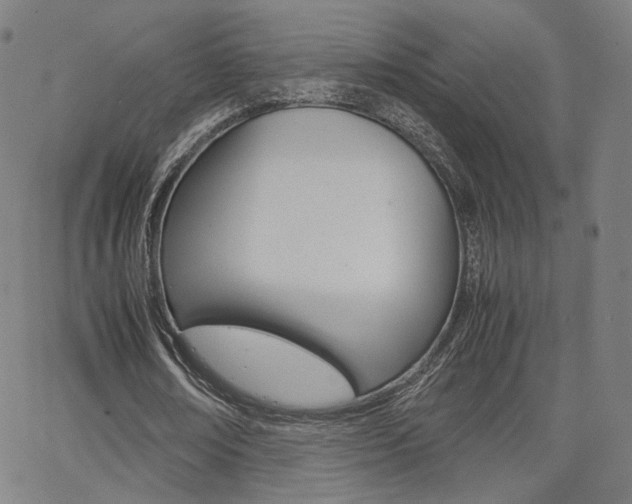 X0000062800674200512221107