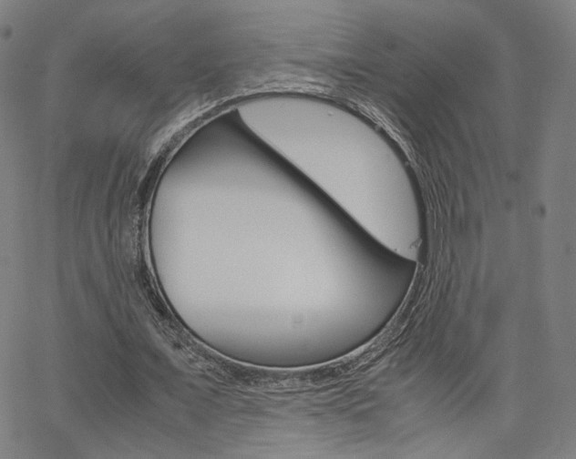 X0000062800675200512221107