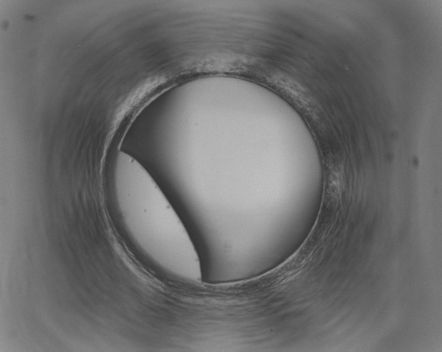 X0000062800678200512221107