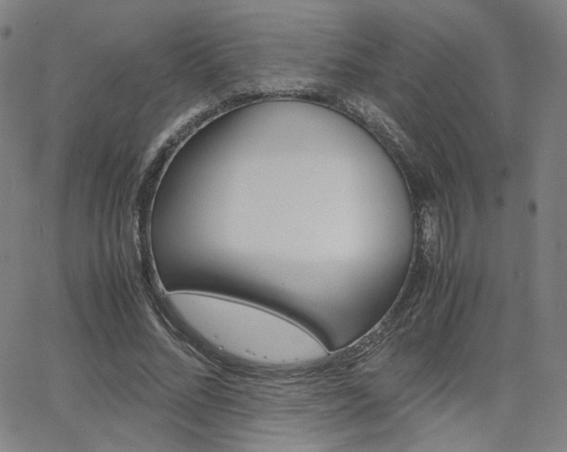 X0000062800684200512221107